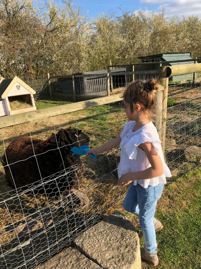 Willow Court Farm Studio South & Petting Farm, 8 Mins From Legoland & Windsor, 15 Mins From Lapland Uk Zewnętrze zdjęcie