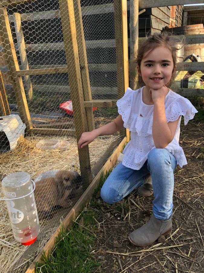 Willow Court Farm Studio South & Petting Farm, 8 Mins From Legoland & Windsor, 15 Mins From Lapland Uk Zewnętrze zdjęcie