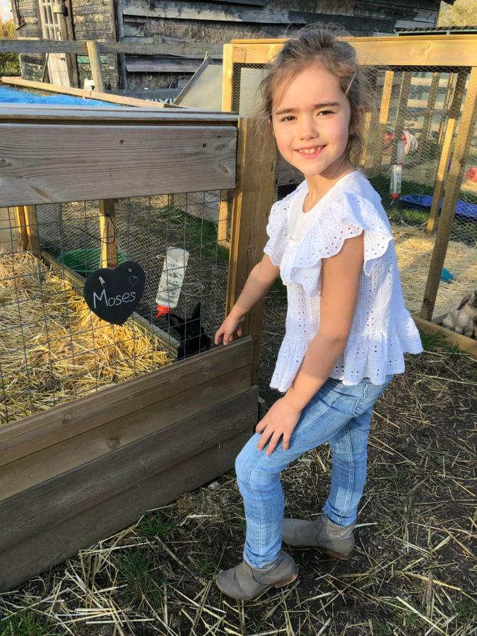 Willow Court Farm Studio South & Petting Farm, 8 Mins From Legoland & Windsor, 15 Mins From Lapland Uk Zewnętrze zdjęcie